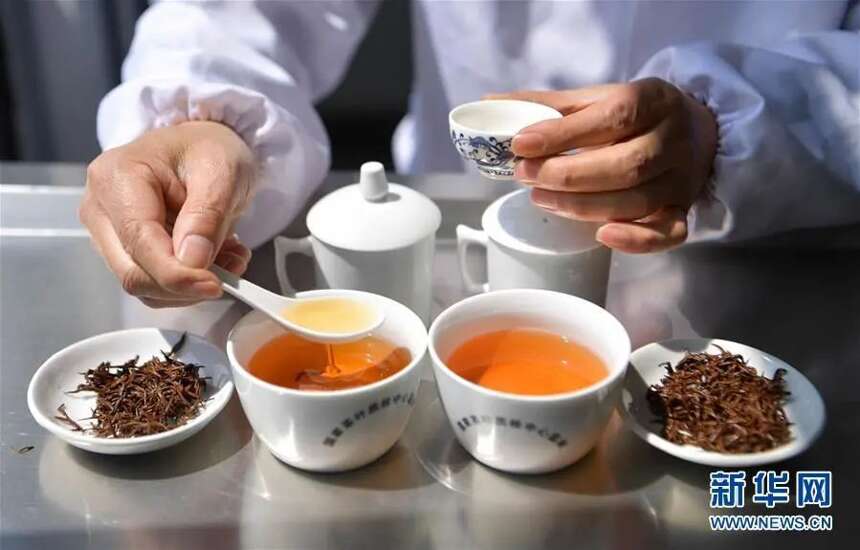 茶品牌聚焦 | 利川红该不该把“冷后浑”作为卖点？