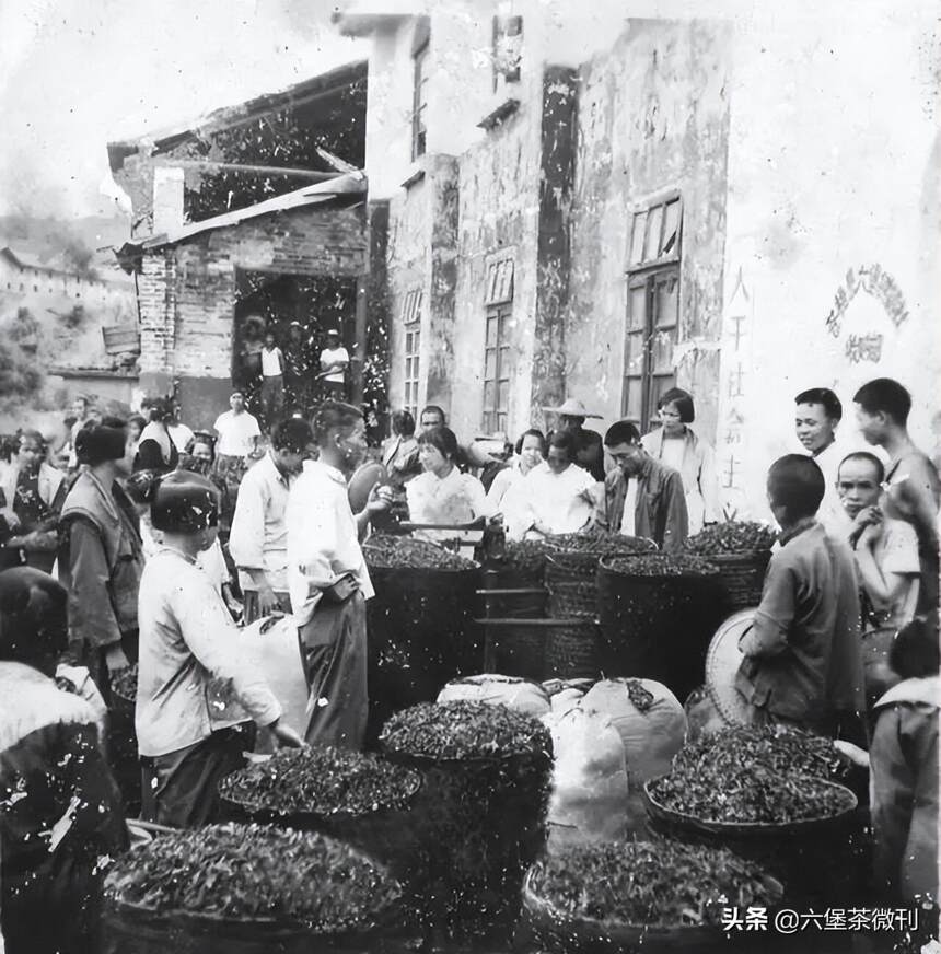 民国时期的六堡茶贸易，喝懂六堡怎能不了解这段历史？