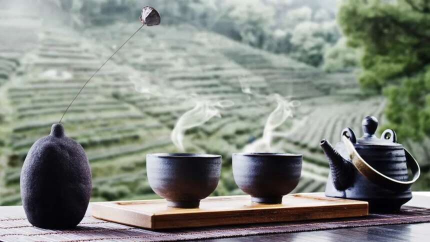 农业农村部专家支招，如何加快转变茶业发展方式