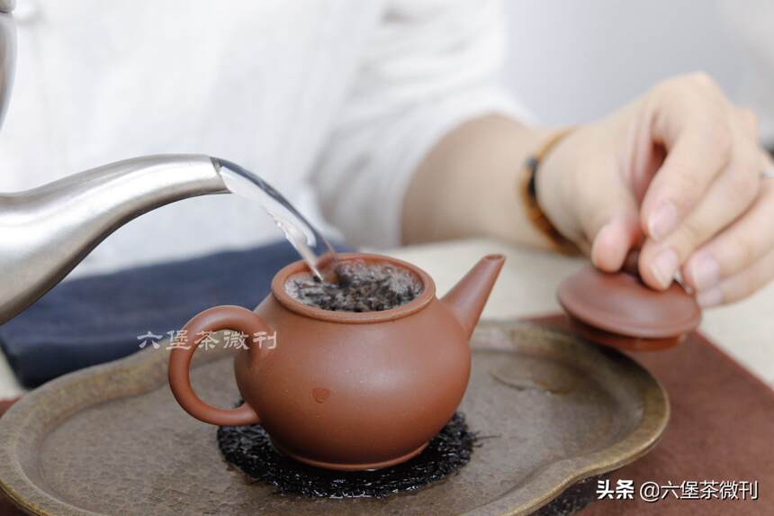 茶外话 | 专注，是泡茶高手养成的秘诀之一