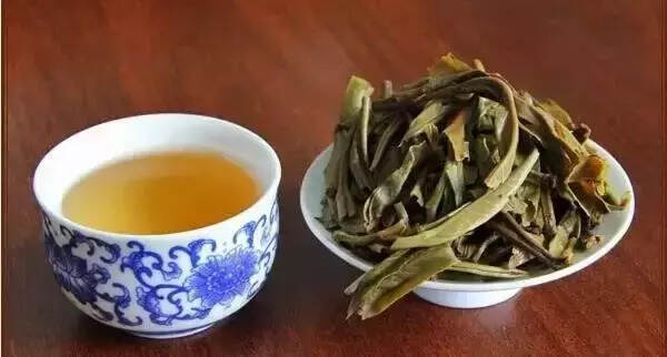 如何分辨古树茶和台地茶？掌握这几招就不容易被骗啦！