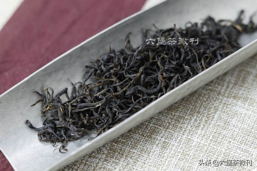 一篇文章告诉你广西六堡茶：社前茶、明前茶、秋茶、冬茶的区别