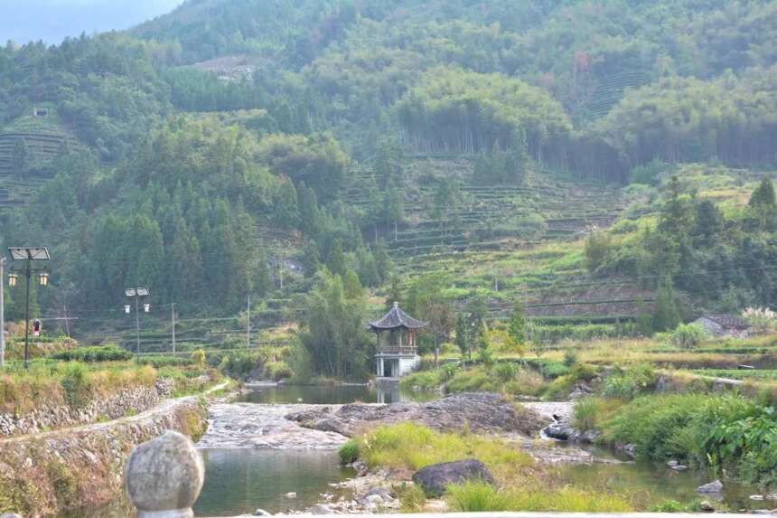 千年历史的长寿村——仙蒲村