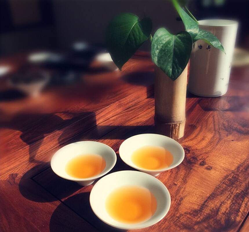 乡下“野茶”，名茶之外的一股清流