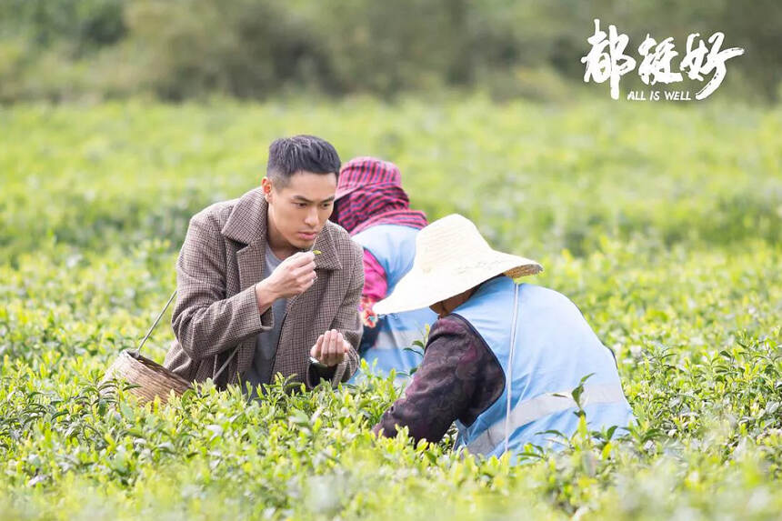 从《都挺好》到《三十而已》，茶山文化崛起，是潮流新风尚么？