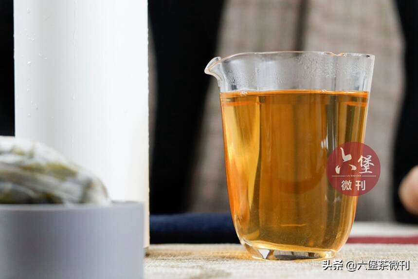 「上新」一杯春茶归自然，原种六堡社前茶，尝鲜开始啦！