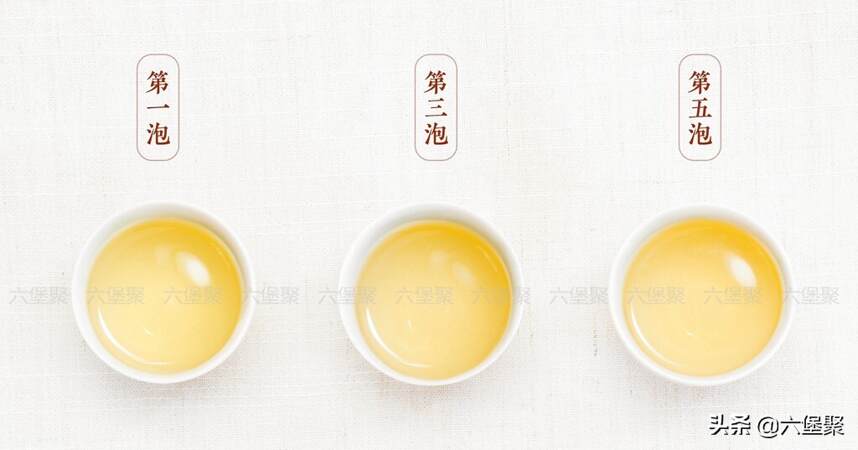 「六堡茶图片」春茶上市：2019年原种六堡茶社前茶系列