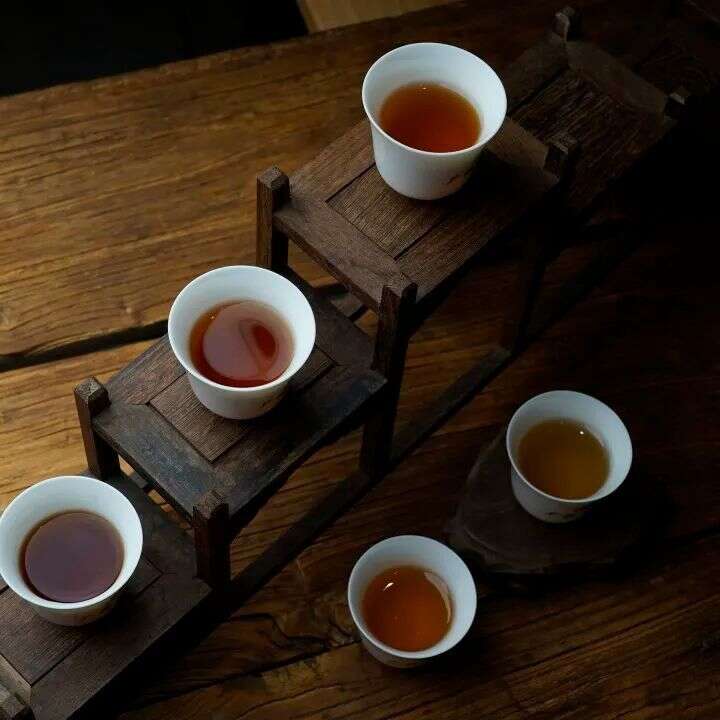 老白茶为什么这么金贵？