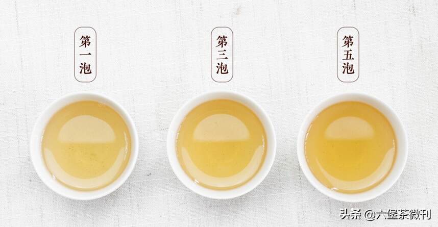 六堡茶：社前茶、明前茶、雨前茶到底有什么区别？