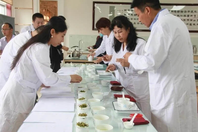 首个“国际茶日”，关于汉中仙毫公共品牌的一点思考