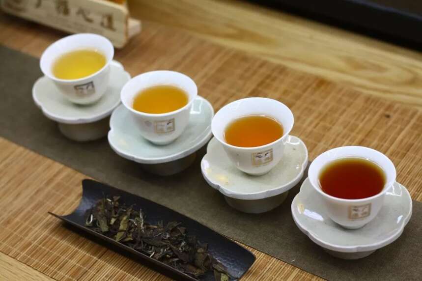 白茶的历史、品种、种植技术、制作工艺、冲泡、品饮、储藏、功效