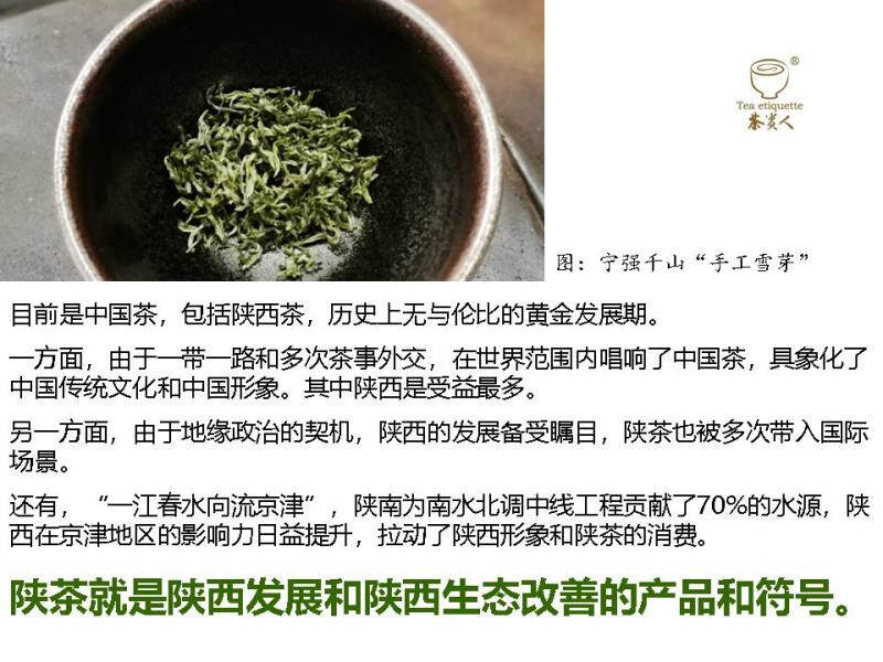 茶眼看陕西：生态是陕茶的核心竞争力#中国茶韵#