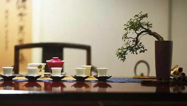 浙大茶博士告诉你：喝茶能多活20年！