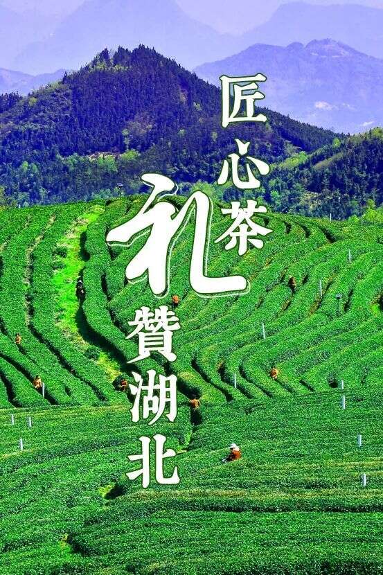 湖北茶界出了两件大事：产量跃居中国第二；有了可读、可听的茶礼