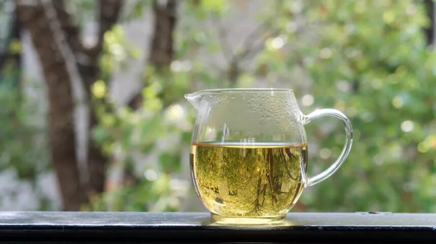 茶，是对春天记忆的收藏