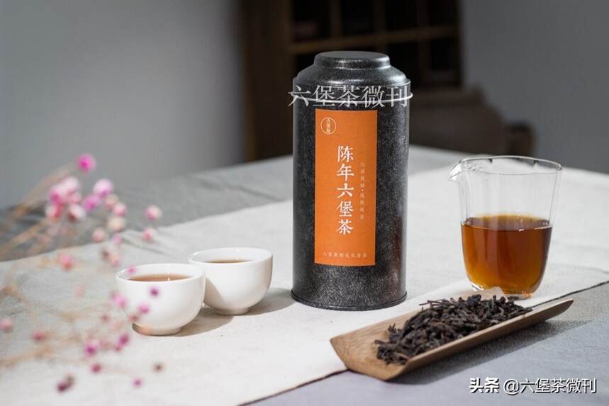 「黑茶知识」谈一谈广西梧州“轻发酵”的六堡茶