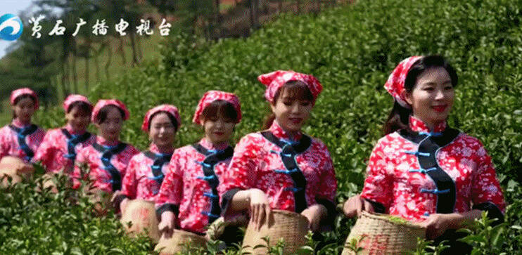 古建茶乡春光美，首届殷祖白茶文化旅游节开幕