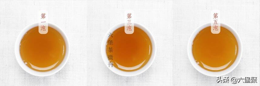 「开汤」茶友偏爱的特色茶品：“桂青种”六堡茶！