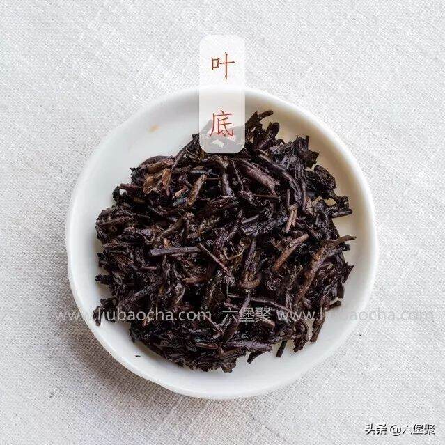 「评测」上了六堡茶圈“热搜”的梧州茶厂建厂66周年纪念茶