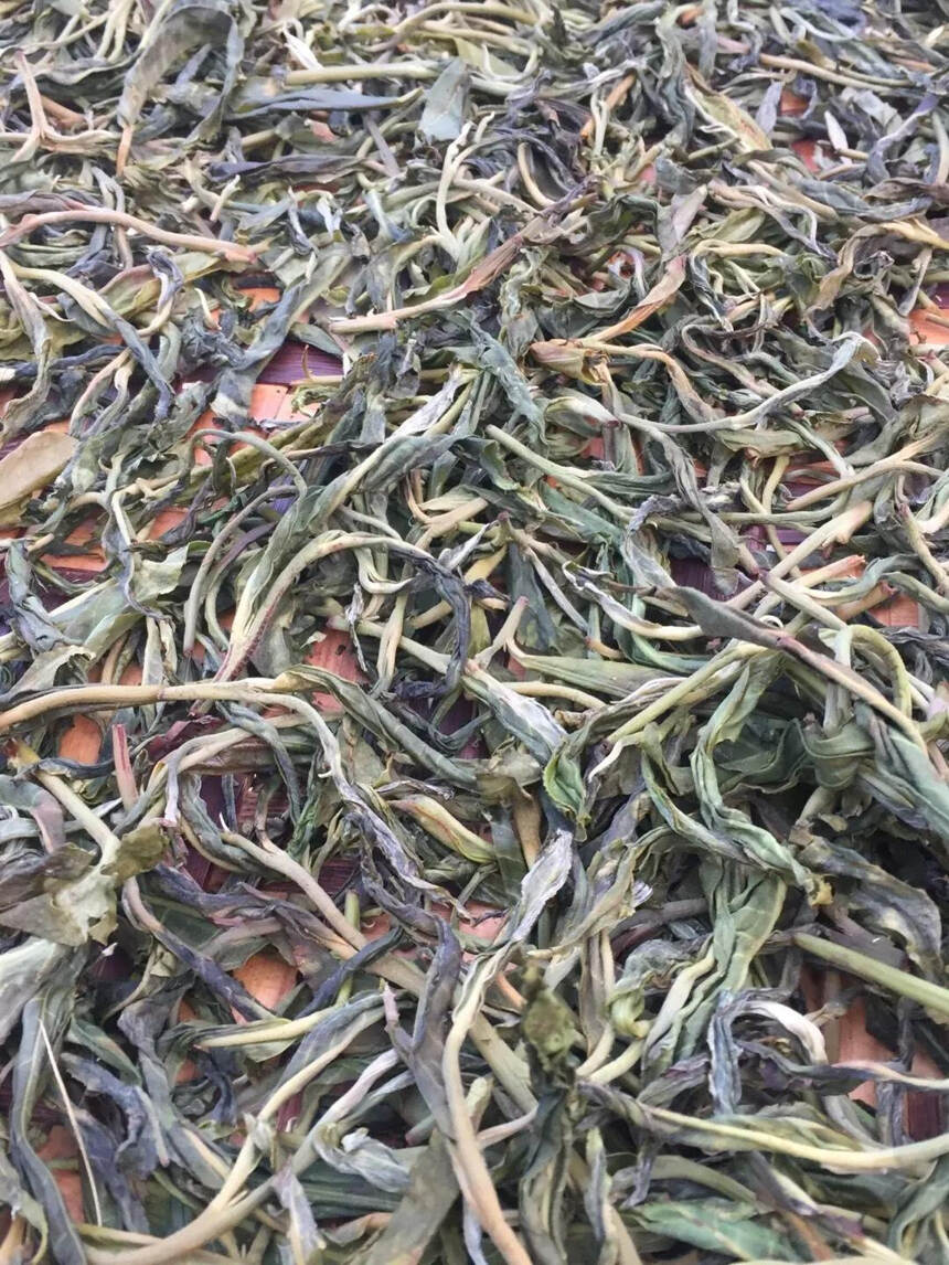 绿茶的工艺比普洱茶的更“精”？