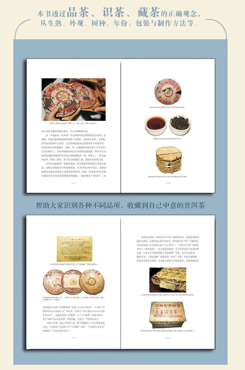 普洱藏茶教战宝典