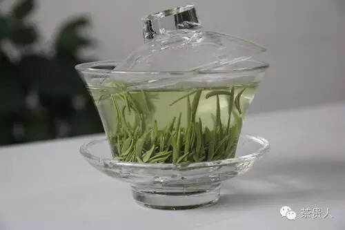 绿茶种类集结号，为你杯里的绿茶站队
