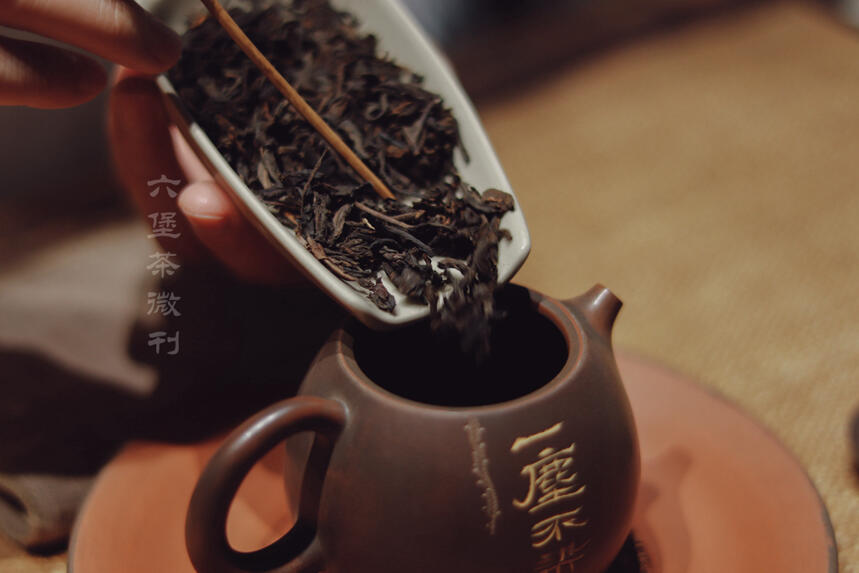 干货：广西六堡茶知识汇总，品鉴与收藏一键式解锁，喝懂六堡茶