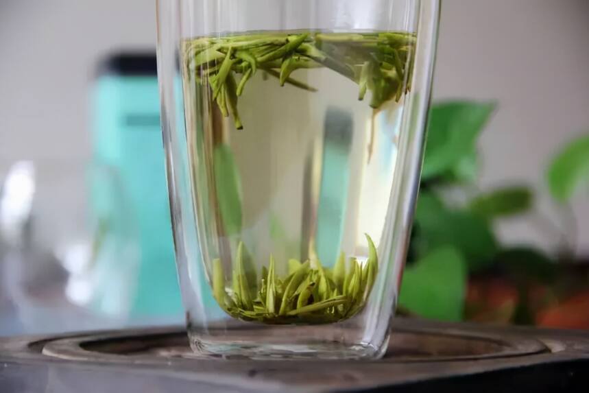 为什么那么多人爱喝绿茶？