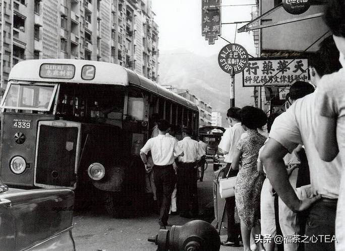 茶百科 | 香港曾是白茶最大的流通市场，且以寿眉为主