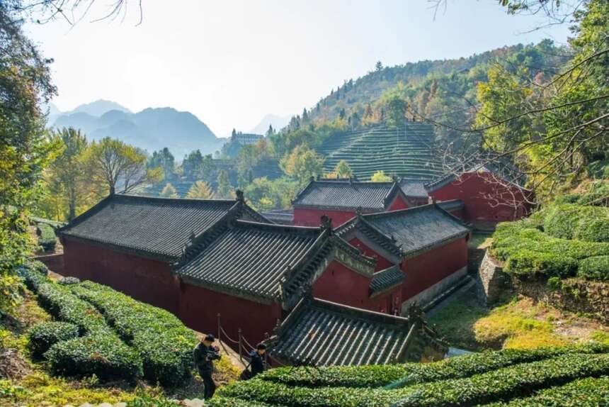 溯源 | 千年武当道茶文化