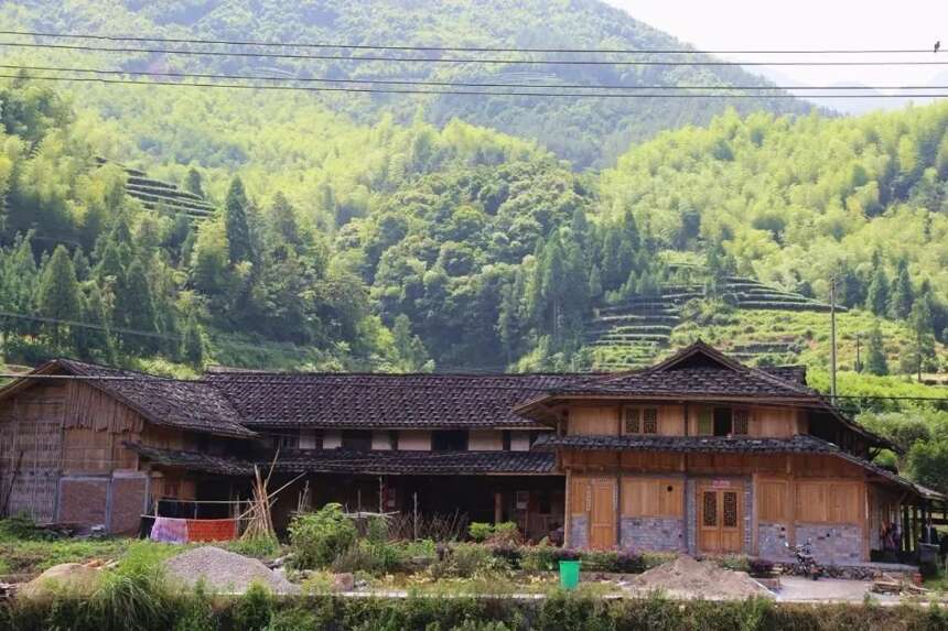 千年历史的长寿村——仙蒲村