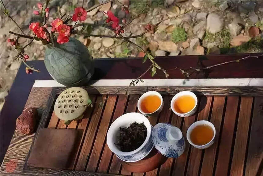 茶言茶语丨茶如人生，在品茶中感悟，在品茶中成长