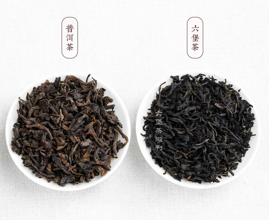 广西六堡茶与云南普洱茶熟茶有什么区别？