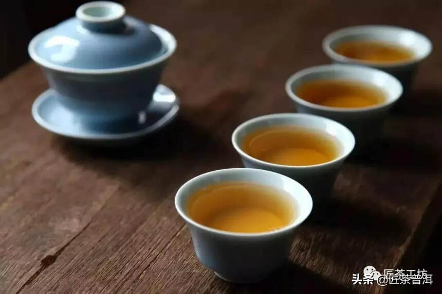 了解普洱茶的干货知识，喝茶不上当