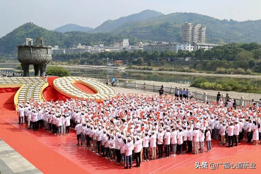 广福集团贺国庆：世界最大数字拼图发布破吉尼斯纪录！|心动态