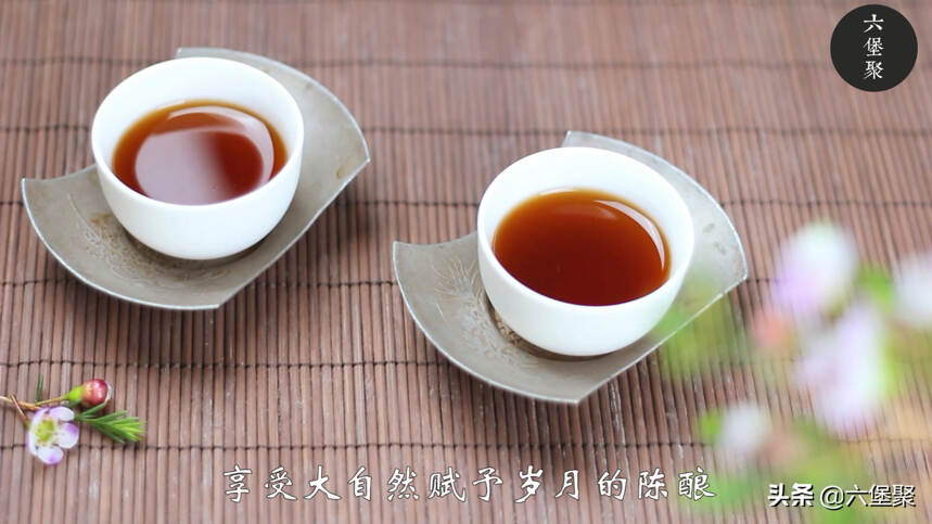 「开汤评测」金益秀枝六堡茶，“美貌”与品质兼具