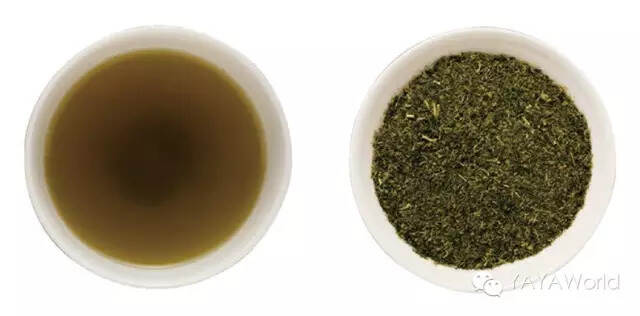 带你学会喝15种日本茶