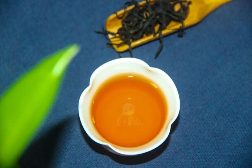 这杯茶，敬中国百年变迁