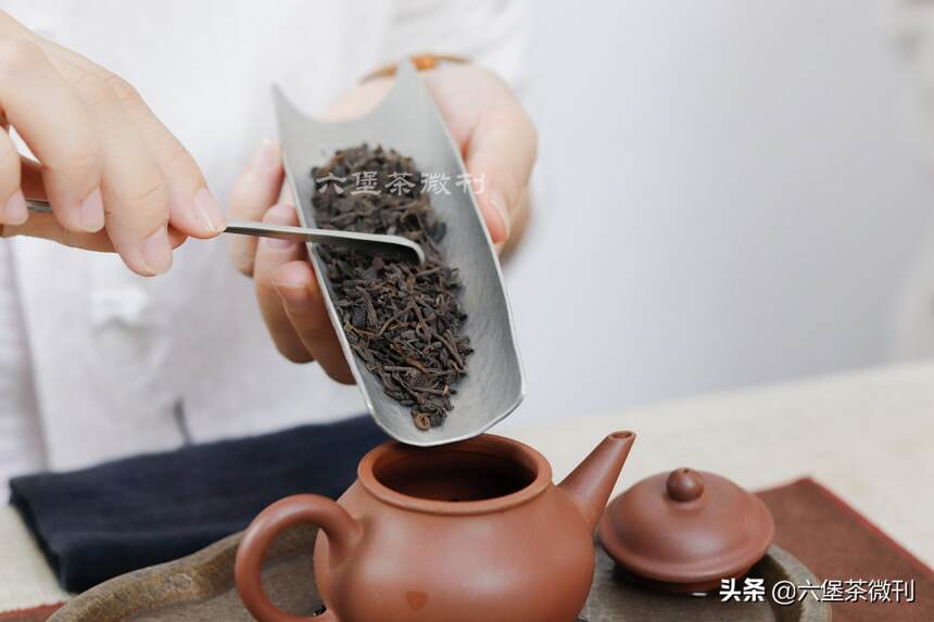 茶外话 | 专注，是泡茶高手养成的秘诀之一