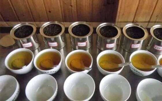 普洱茶纯料和拼配谁更值得存？