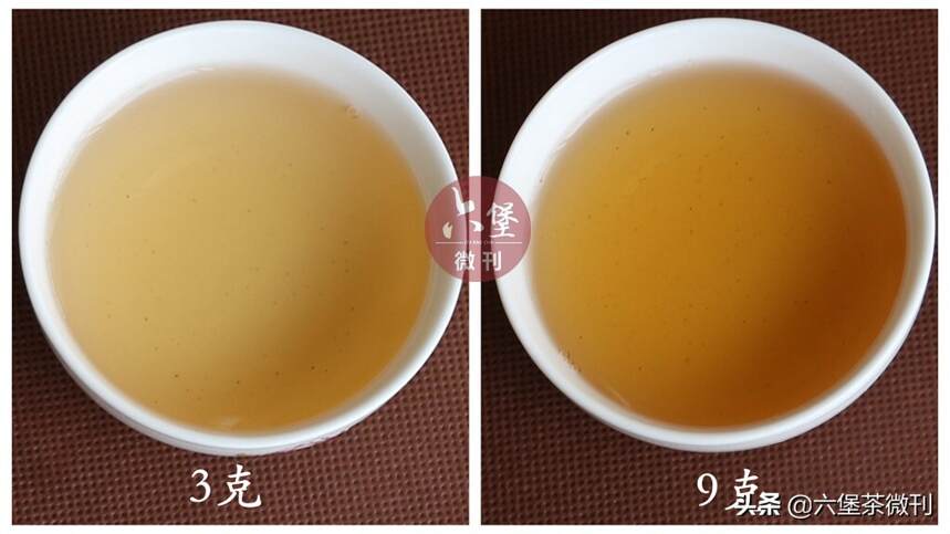 茶实验：一款茶的百种滋味，投茶量内有乾坤