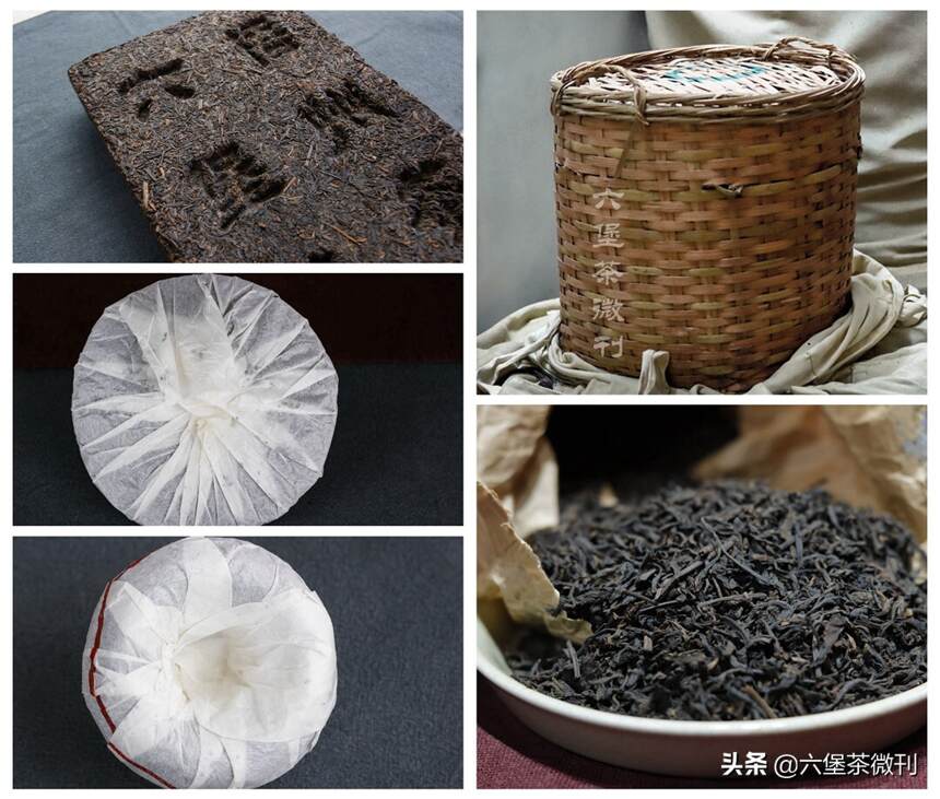 广西六堡茶与湖南安化黑茶有什么不同？（建议收藏）