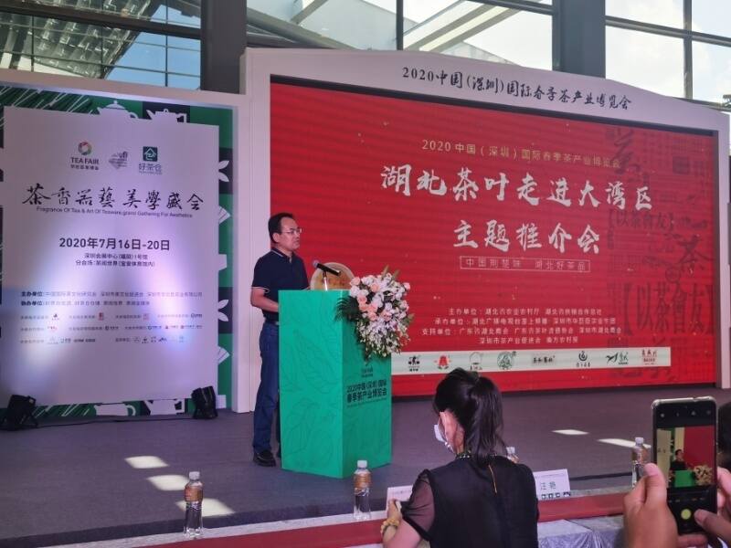 今天，湖北茶抱团征战2020深圳茶博会