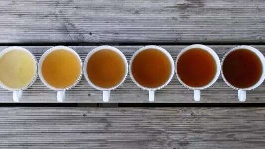 给你一个爱上普洱茶的理由