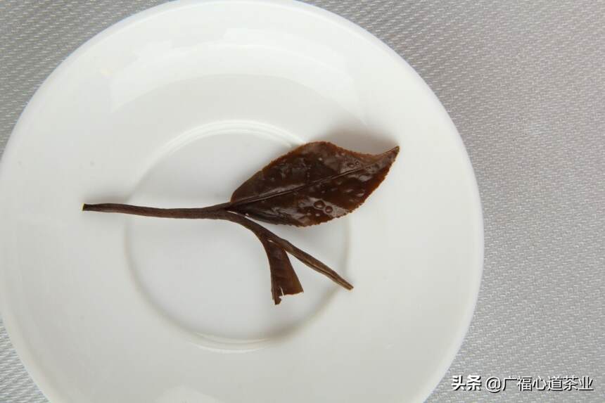 “粗枝大叶”的老寿眉如何极致利用？煮着喝最能出味道｜白茶学堂