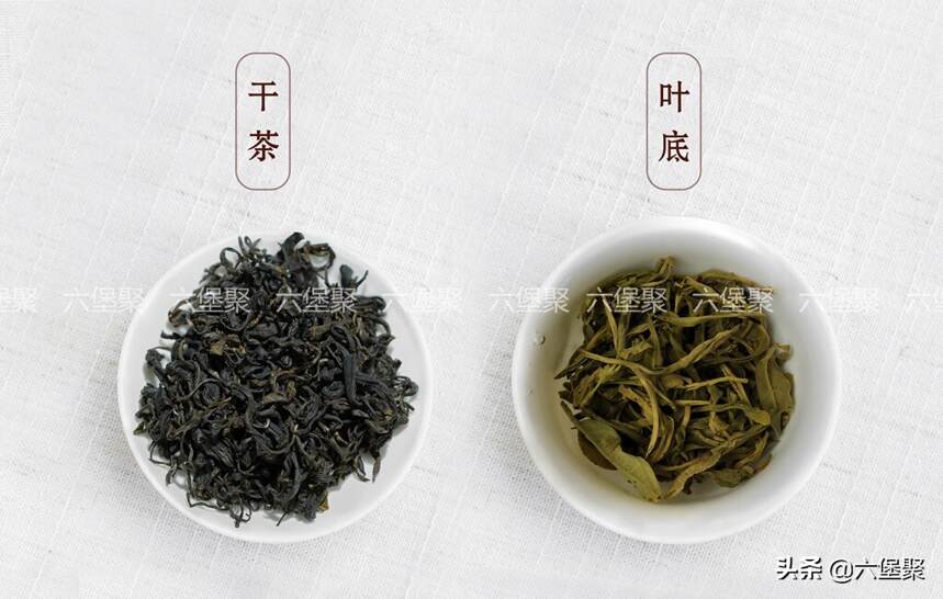 「六堡茶图片」春茶上市：2019年原种六堡茶社前茶系列