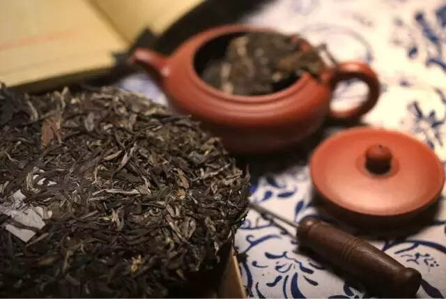 一篇文章教你怎么在茶博会上买到心仪的普洱茶！