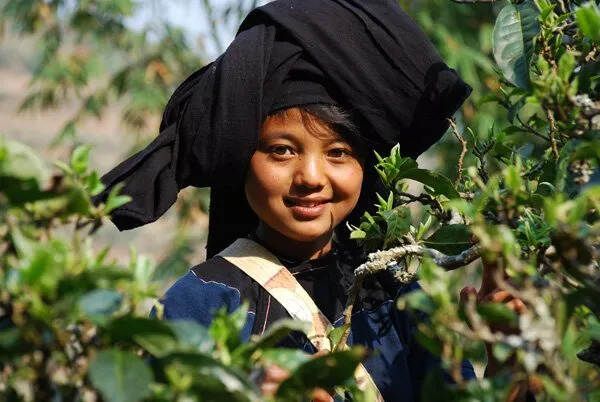 布朗族——守护普洱茶的民族