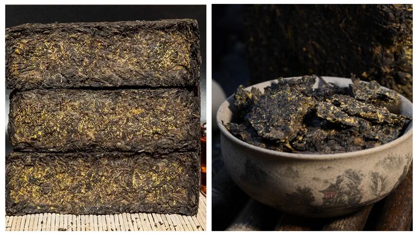 广西六堡茶与陕西茯茶有什么不同？（建议收藏）