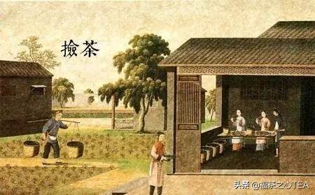 茶史篇 | 广州十三行外销茶叶，被西方世界誉为“绿色的黄金”